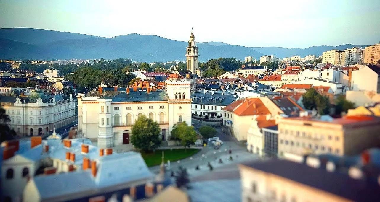 Panorama Bielska-Białej z ratuszem na tle Beskidów